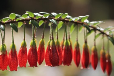 佛山高明区10私人快速借钱网，轻松解决资金难题