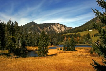 佛山高明区10民间私贷攻略：揭秘低成本借贷的秘密