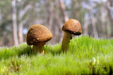 佛山高明区10私人老板放款：轻松融资的秘密通道